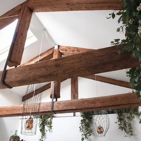 Al Pozzo Di Luce Bed and Breakfast Βενετία